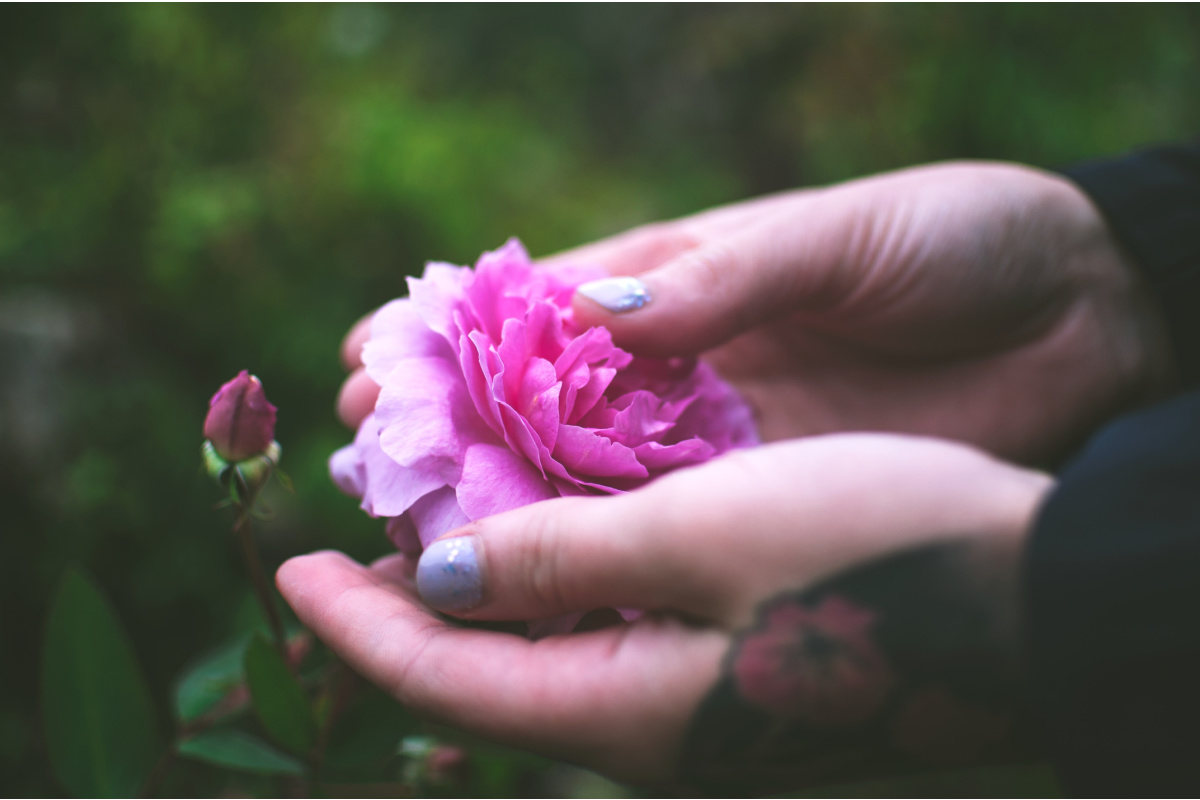 Finding Resolve Together: A Letter of Resilience and Renewal for Those of Us Living with Depression